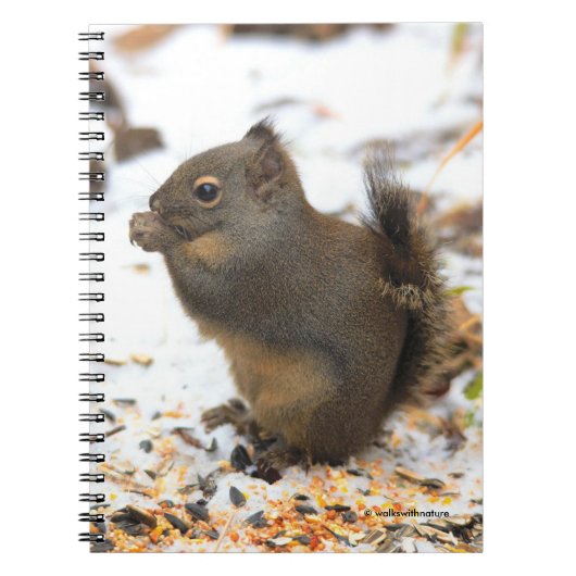 Cute Douglas Squirrel Enjoing a Winter Feast Notitieboek (Voorkant)