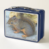 Cute Douglas Squirrel Natuur Foto (Achterkant)