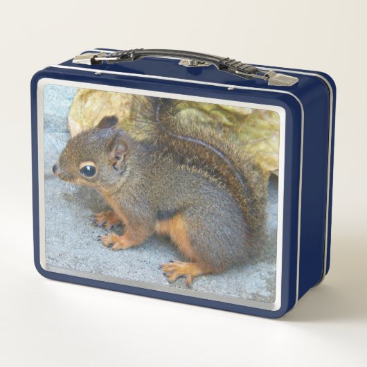 Cute Douglas Squirrel Natuur Foto (Achterkant)