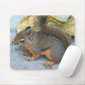 Cute Douglas Squirrel Natuur Foto Muismat (Met muis)