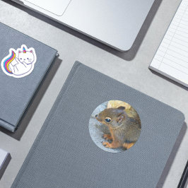 Cute Douglas Squirrel Natuur Foto Ronde Sticker