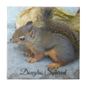 Cute Douglas Squirrel Natuur Foto Tegeltje (Voorkant)