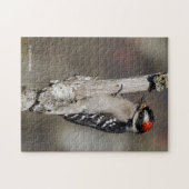 Cute Downy Woodpecker Bird on Branch Legpuzzel (Horizontaal)