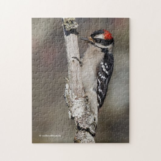 Cute Downy Woodpecker Bird on Branch Legpuzzel (Verticaal)