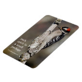 Cute Downy Woodpecker Bird on Branch Magneet (Linkerzijde)