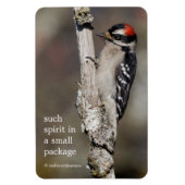 Cute Downy Woodpecker Bird on Branch Magneet (Verticaal)
