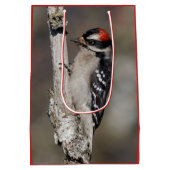 Cute Downy Woodpecker Bird on Branch Medium Cadeauzakje (Achterkant)