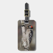 Cute Downy Woodpecker op de Boom Bagagelabel (Voorkant verticaal)