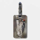 Cute Downy Woodpecker op de Boom Bagagelabel (Achterkant verticaal)