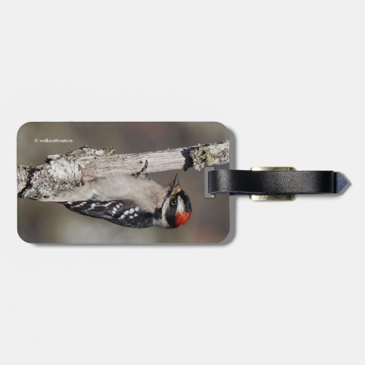 Cute Downy Woodpecker op de Boom Bagagelabel (Achterkant horizontaal)