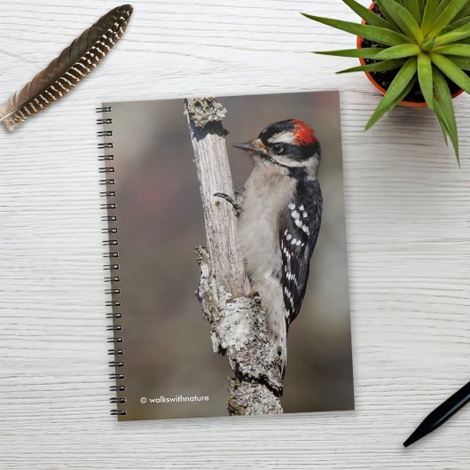 Cute Downy Woodpecker op de Boom Notitieboek
