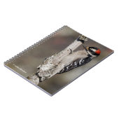 Cute Downy Woodpecker op de Boom Notitieboek (Linkerzijde)