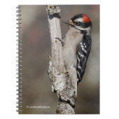 Cute Downy Woodpecker op de Boom Notitieboek (Voorkant)