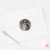 Cute Downy Woodpecker op de Boom Ronde Sticker (Envelop)