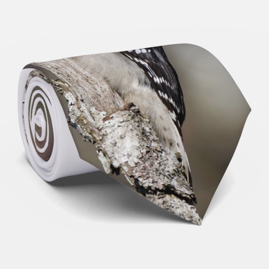 Cute Downy Woodpecker op de Boom Stropdas (Opgerold)