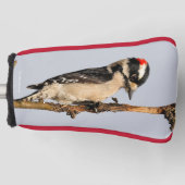 Cute Downy Woodpecker op fruitbomen Golfheadcover (Voorkant)
