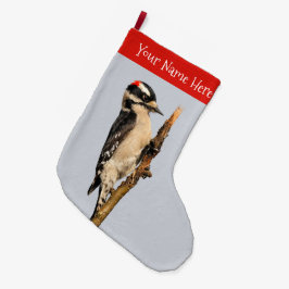 Cute Downy Woodpecker op fruitbomen Grote Kerstsok