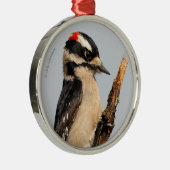 Cute Downy Woodpecker op fruitbomen Metalen Ornament (Rechts)