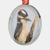 Cute Downy Woodpecker op fruitbomen Metalen Ornament (Links)