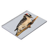 Cute Downy Woodpecker op fruitbomen Notitieboek (Linkerzijde)