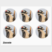Cute Downy Woodpecker op fruitbomen Ronde Sticker (Vel)
