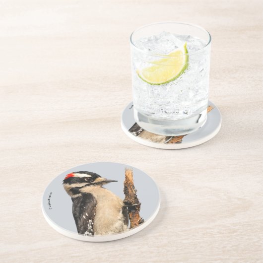 Cute Downy Woodpecker op fruitbomen Zandsteen Onderzetter (Zijkant)