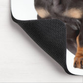 Cute Doxin Puppy Wiener Love Dog Mam Dachshund Muismat (Hoek)