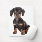 Cute Doxin Puppy Wiener Love Dog Mam Dachshund Muismat (Met muis)