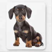 Cute Doxin Puppy Wiener Love Dog Mam Dachshund Muismat (Voorkant)