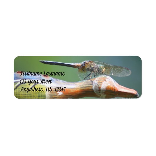 Cute Dragonfly Co Pilot Natuur Address Etiket (Voorkant)