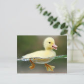 Cute Duck Chick Briefkaart (Staand voorkant)