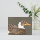 Cute Duck Close Up DIY Holiday Postcard Feestdagenkaart (Staand voorkant)