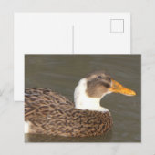 Cute Duck Close Up DIY Holiday Postcard Feestdagenkaart (Voorkant / Achterkant)