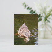 Cute Duck Feeding Briefkaart (Staand voorkant)