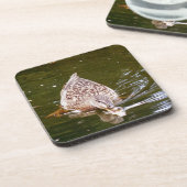 Cute Duck Feeding Drankjes Onderzetter (Linkerzijde)