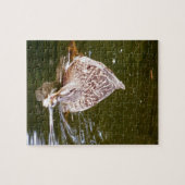 Cute Duck Feeding Legpuzzel (Horizontaal)