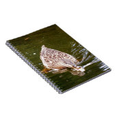 Cute Duck Feeding Notitieboek (Rechterzijde)
