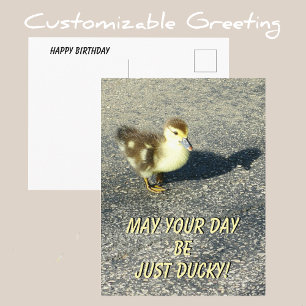 Cute Duckling Gefeliciteerd Verjaardag Natuurfotog Briefkaart