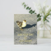 Cute Duckling Gefeliciteerd Wilde Natuur Fotografi Briefkaart (Staand voorkant)