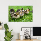 Cute Ducklings Poster (Thuiskantoor)