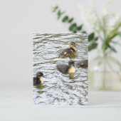 Cute Ducklings Swimming Briefkaart (Staand voorkant)