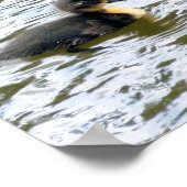 Cute Ducklings Swimming Poster (Hoek)