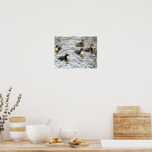 Cute Ducklings Swimming Poster (Keuken)
