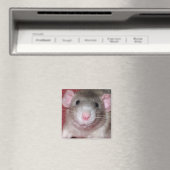 Cute Dumbo Rat Magneet (Insitu (Vaatwasser))