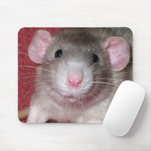 Cute Dumbo Rat Muismat (Met muis)