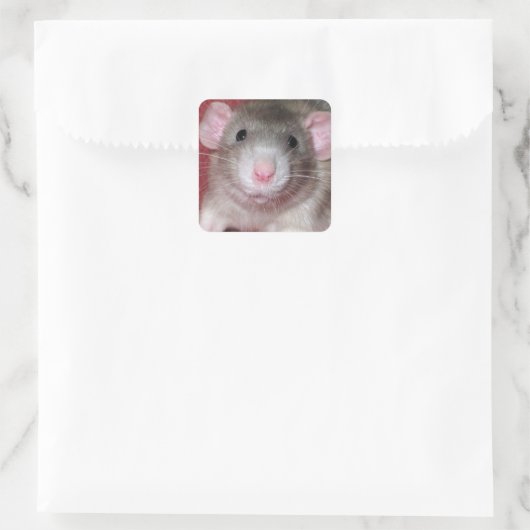Cute Dumbo Rat Vierkante Sticker (Tas)
