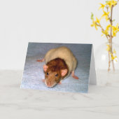Cute Dumbo Rat Wenskaart Kaart (Gele Bloem)