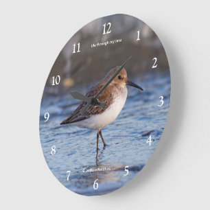 Cute Dunlin Shorebird die het winterstrand rondzwe Grote Klok