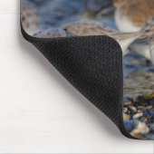 Cute Dunlins Sanderlings Sandpipers bij Beach Muismat (Hoek)