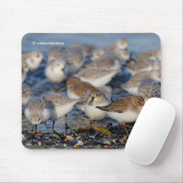 Cute Dunlins Sanderlings Sandpipers bij Beach Muismat